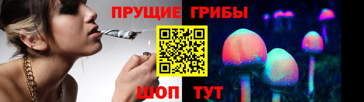 наркота  Псилоцибиновые грибы Magic Shrooms  Вход с VPN  Белореченск 