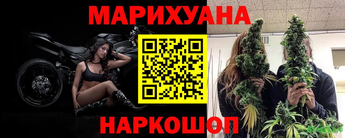 Конопля OG Kush Белореченск
